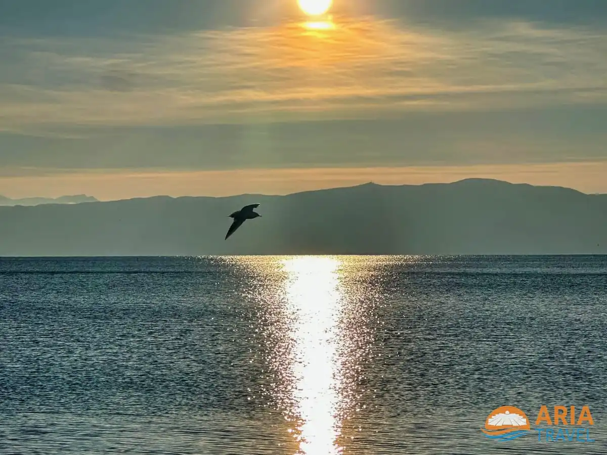 Aria Travel Albania