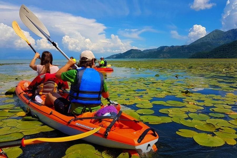 Kayaking in Shkoder lake Stand up Paddle