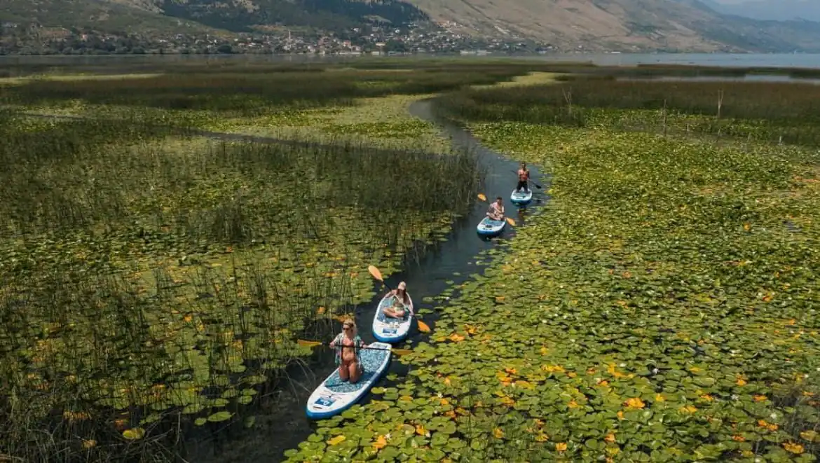 kayaking and standup paddle in shkoder lake