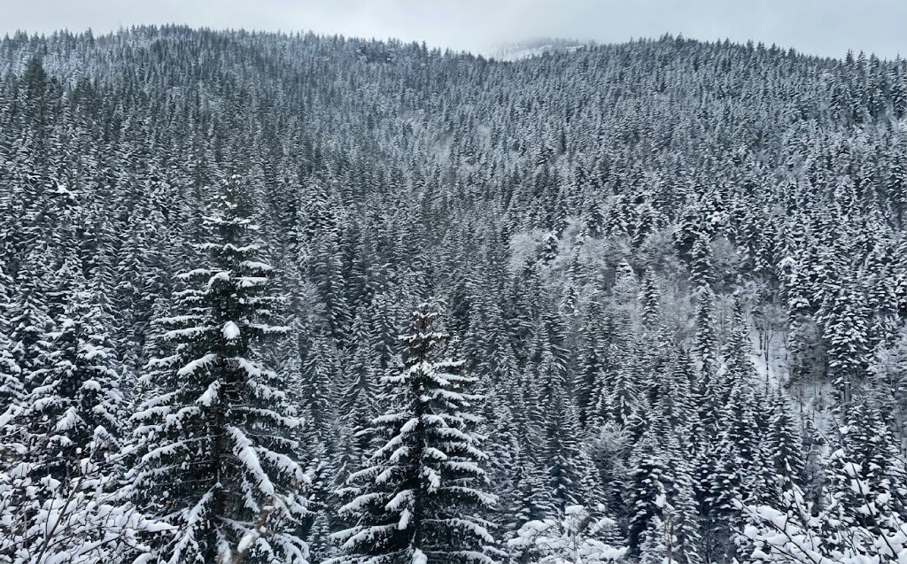 A Winter Escape to Rugova